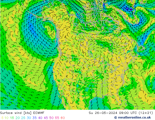 Wind 10 m ECMWF zo 26.05.2024 09 UTC