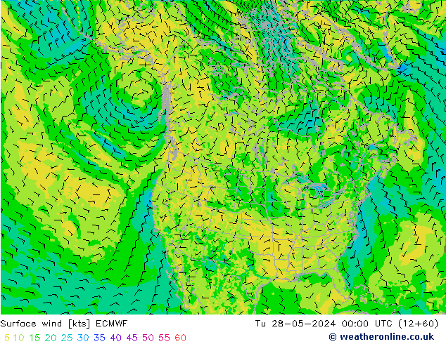 Surface wind ECMWF Tu 28.05.2024 00 UTC