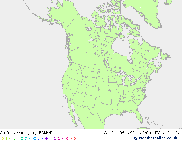 Surface wind ECMWF Sa 01.06.2024 06 UTC