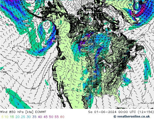 Vento 850 hPa ECMWF sab 01.06.2024 00 UTC