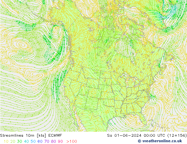 Linea di flusso 10m ECMWF sab 01.06.2024 00 UTC