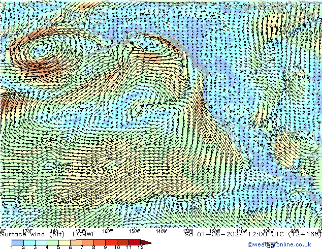 Bodenwind (bft) ECMWF Sa 01.06.2024 12 UTC