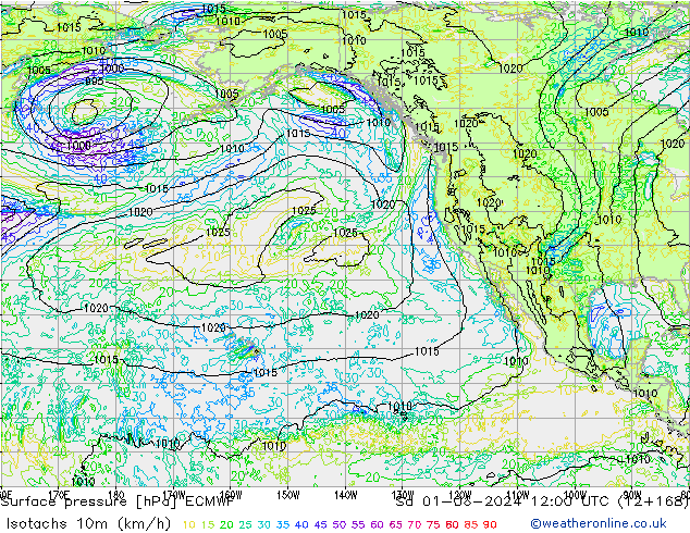 Izotacha (km/godz) ECMWF so. 01.06.2024 12 UTC