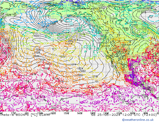 Theta-e 850hPa ECMWF  25.05.2024 12 UTC