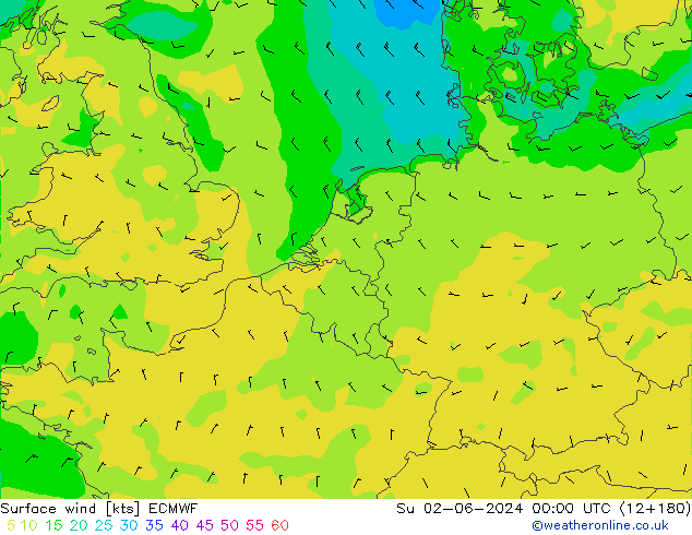 Bodenwind ECMWF So 02.06.2024 00 UTC