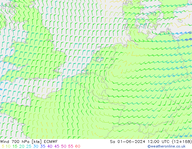 wiatr 700 hPa ECMWF so. 01.06.2024 12 UTC