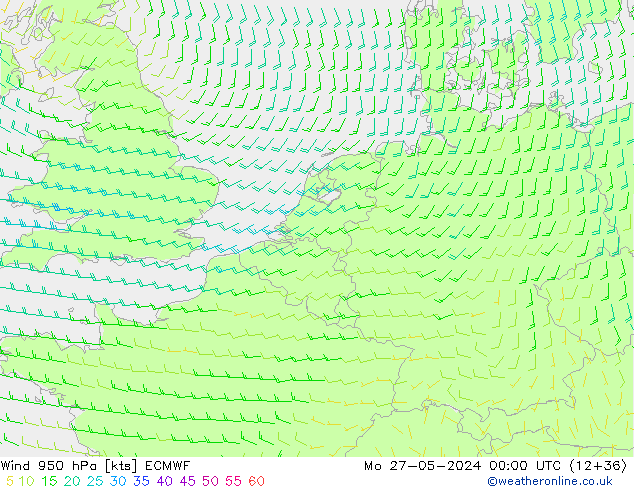 ветер 950 гПа ECMWF пн 27.05.2024 00 UTC