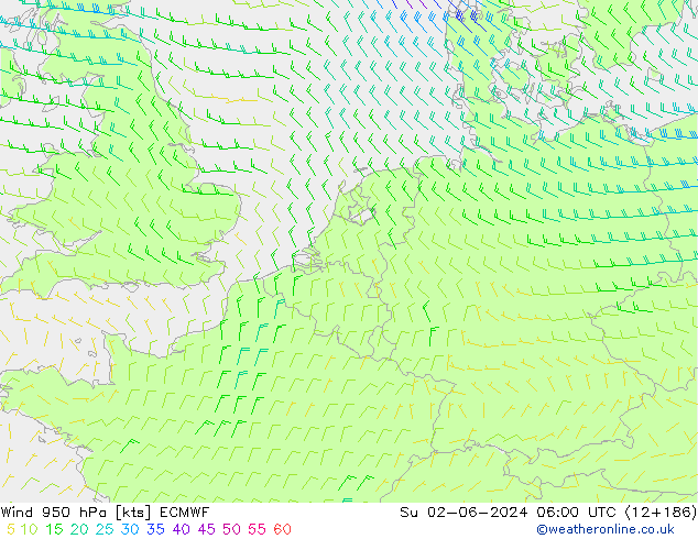 Wind 950 hPa ECMWF So 02.06.2024 06 UTC