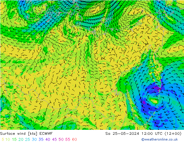 Wind 10 m ECMWF za 25.05.2024 12 UTC