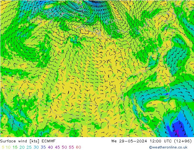 Surface wind ECMWF St 29.05.2024 12 UTC