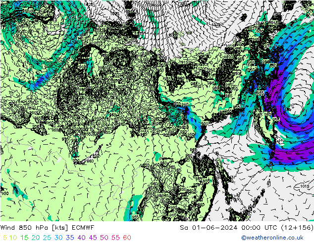 wiatr 850 hPa ECMWF so. 01.06.2024 00 UTC