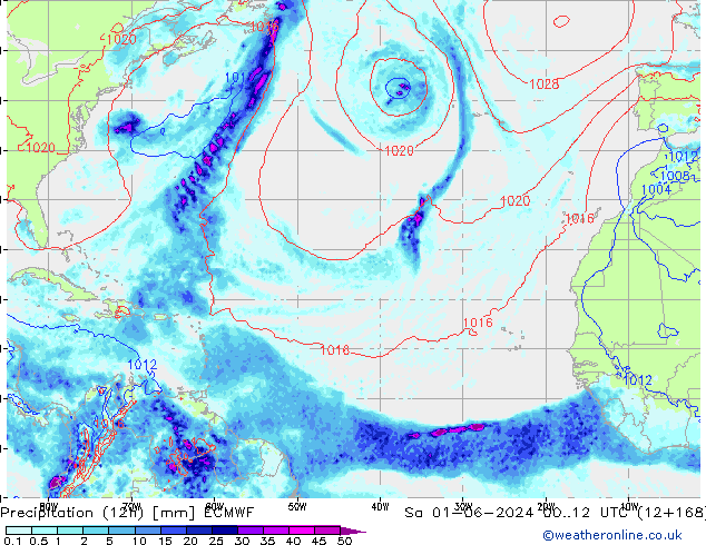 Precipitation (12h) ECMWF So 01.06.2024 12 UTC