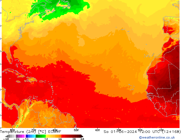 Temperatura (2m) ECMWF sab 01.06.2024 12 UTC