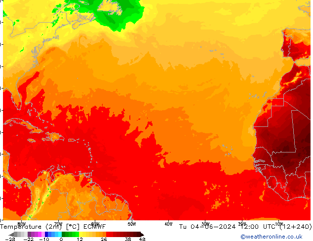 mapa temperatury (2m) ECMWF wto. 04.06.2024 12 UTC