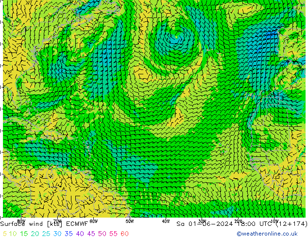 Surface wind ECMWF Sa 01.06.2024 18 UTC