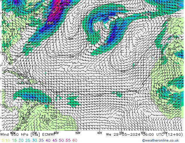 Vento 950 hPa ECMWF Qua 29.05.2024 06 UTC