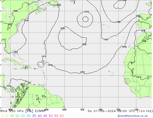 Wind 950 hPa ECMWF So 01.06.2024 06 UTC