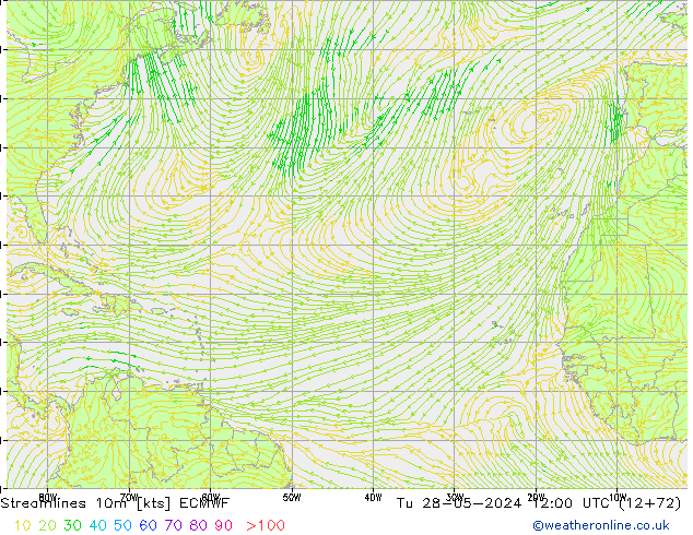 ветер 10m ECMWF вт 28.05.2024 12 UTC