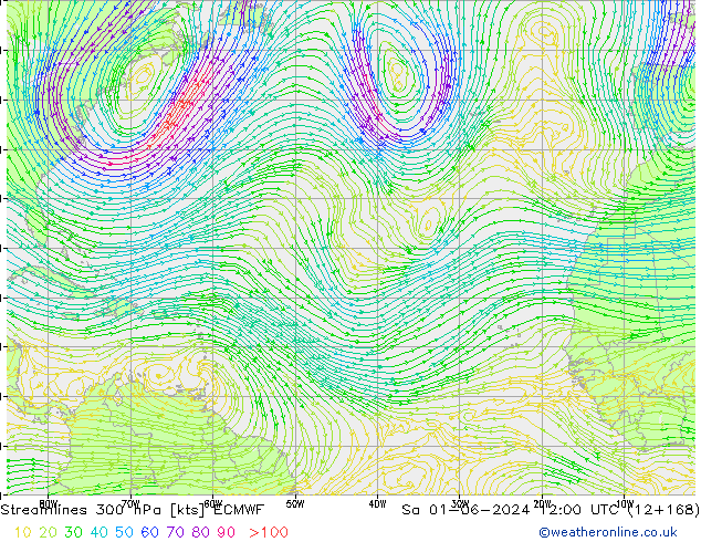 Streamlines 300 hPa ECMWF Sa 01.06.2024 12 UTC