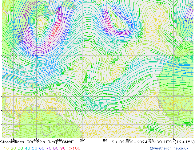  300 hPa ECMWF  02.06.2024 06 UTC