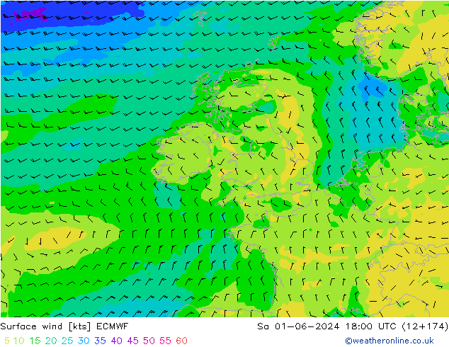  10 m ECMWF  01.06.2024 18 UTC