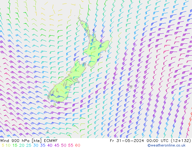 Wind 900 hPa ECMWF Fr 31.05.2024 00 UTC
