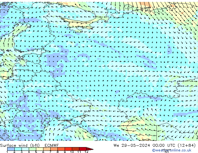 Surface wind (bft) ECMWF St 29.05.2024 00 UTC