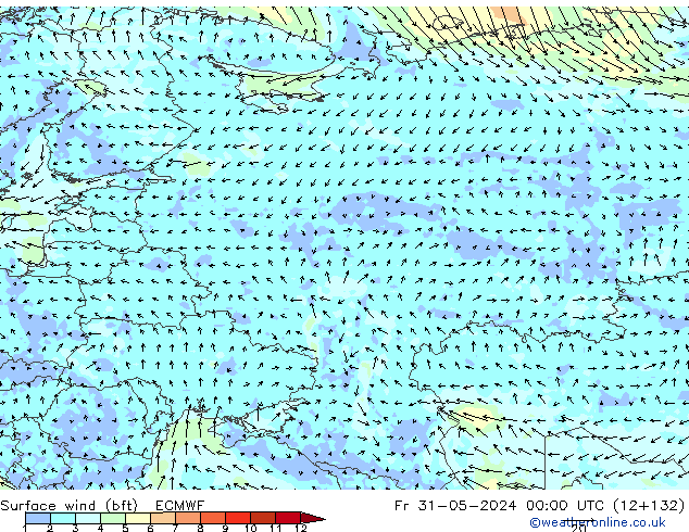 Bodenwind (bft) ECMWF Fr 31.05.2024 00 UTC