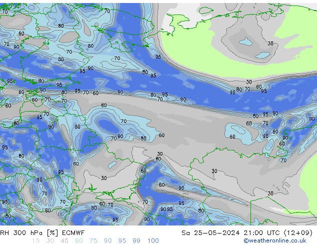 RH 300 hPa ECMWF sab 25.05.2024 21 UTC