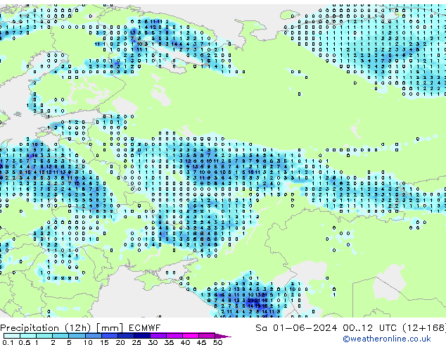 Precipitation (12h) ECMWF Sa 01.06.2024 12 UTC