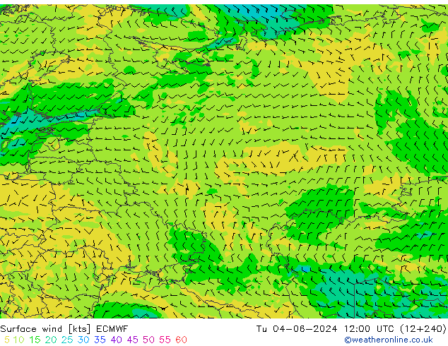  10 m ECMWF  04.06.2024 12 UTC