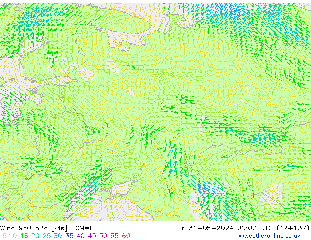 Wind 950 hPa ECMWF Fr 31.05.2024 00 UTC