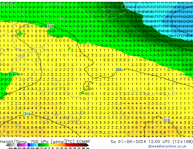 Height/Temp. 700 гПа ECMWF сб 01.06.2024 12 UTC