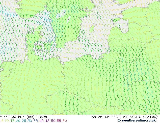  Sa 25.05.2024 21 UTC