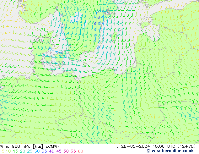 Wind 900 hPa ECMWF Tu 28.05.2024 18 UTC