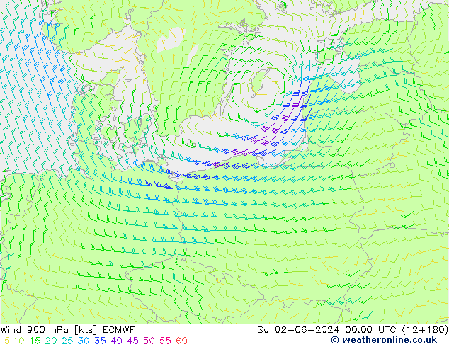 Wind 900 hPa ECMWF Ne 02.06.2024 00 UTC