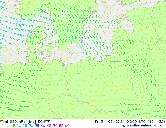 Wind 950 hPa ECMWF Fr 31.05.2024 00 UTC