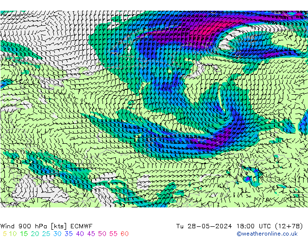 ветер 900 гПа ECMWF вт 28.05.2024 18 UTC