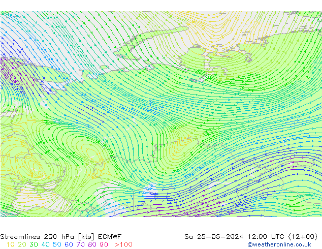 Rüzgar 200 hPa ECMWF Cts 25.05.2024 12 UTC