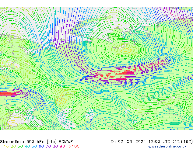 Stroomlijn 300 hPa ECMWF zo 02.06.2024 12 UTC