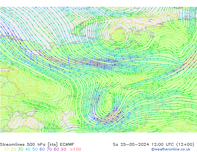 Rüzgar 500 hPa ECMWF Cts 25.05.2024 12 UTC