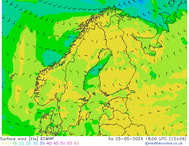 Bodenwind ECMWF Sa 25.05.2024 18 UTC