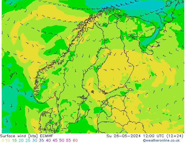 Viento 10 m ECMWF dom 26.05.2024 12 UTC