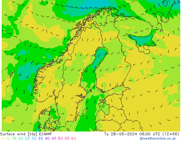 Surface wind ECMWF Tu 28.05.2024 06 UTC