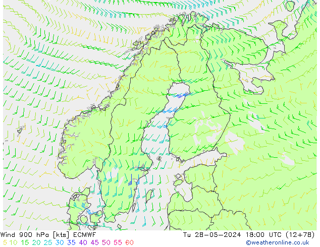 Vento 900 hPa ECMWF Ter 28.05.2024 18 UTC