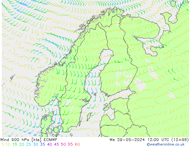 Wind 900 hPa ECMWF We 29.05.2024 12 UTC