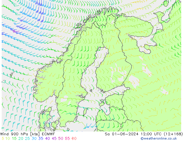 Wind 900 hPa ECMWF za 01.06.2024 12 UTC