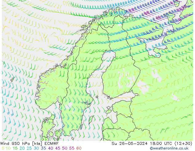  950 hPa ECMWF  26.05.2024 18 UTC