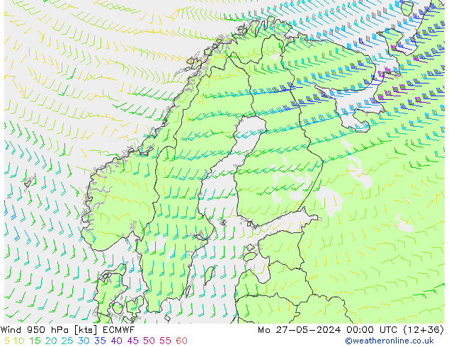 ветер 950 гПа ECMWF пн 27.05.2024 00 UTC