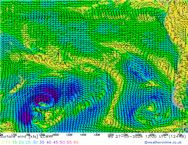 Surface wind ECMWF Mo 27.05.2024 12 UTC